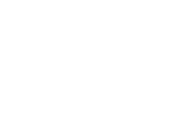 Film Slayers